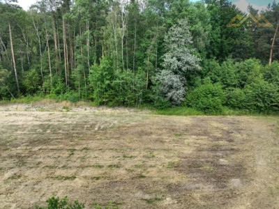 Piękna działka w otulinie lasu 50 a z warunkami zabudowy Wólka Dulecka - Radomyśl Wielki  -
podkarpackie Zdjęcie nr 10