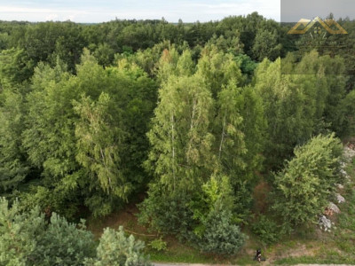 Działka w WZ i prywatnym lasem - Dąbrowa Tarnowska  -
małopolskie Zdjęcie nr 10