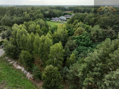 Działka w WZ i prywatnym lasem - Dąbrowa Tarnowska  -
małopolskie Zdjęcie nr 2