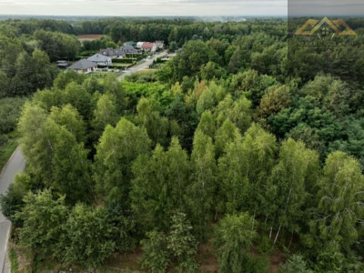 Działka w WZ i prywatnym lasem - Dąbrowa Tarnowska  -
małopolskie Zdjęcie nr 4