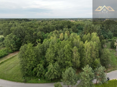 Działka w WZ i prywatnym lasem - Dąbrowa Tarnowska  -
małopolskie Zdjęcie nr 5