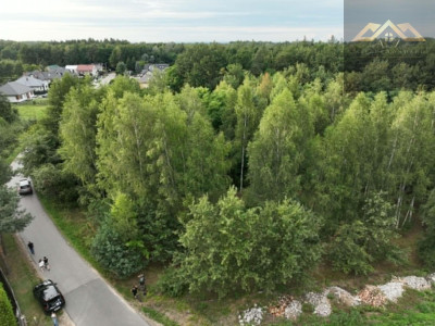 Działka w WZ i prywatnym lasem - Dąbrowa Tarnowska  -
małopolskie Zdjęcie nr 6