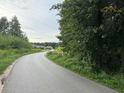 Działka w WZ i prywatnym lasem - Dąbrowa Tarnowska  -
małopolskie Zdjęcie nr 7