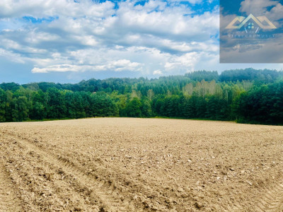 Działki budowlane blisko Tuchowa - Buchcice  -
małopolskie Zdjęcie nr 3