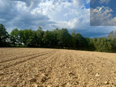 Działki budowlane blisko Tuchowa - Buchcice  -
małopolskie Zdjęcie nr 4
