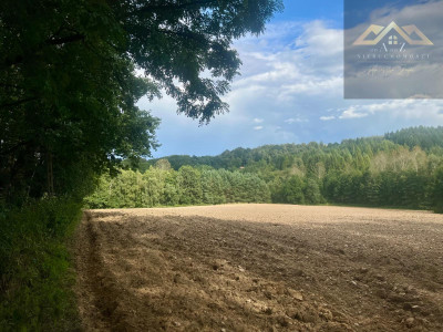 Działki budowlane blisko Tuchowa - Buchcice  -
małopolskie Zdjęcie nr 8