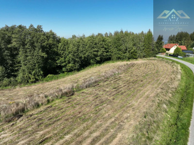 Działka rolno-budowlana - Łękawica  - małopolskie
