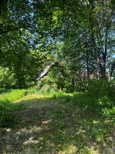 Działka budowlana z domem drewnianym - Wola Dębińska -
małopolskie Zdjęcie nr 5