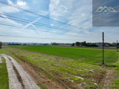Duża działka 54 ar z WZ na dom Wierzchosławice gm - Gosławice  -
małopolskie Zdjęcie nr 5