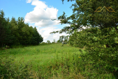 Działka w Radłowie - Radłów   - małopolskie