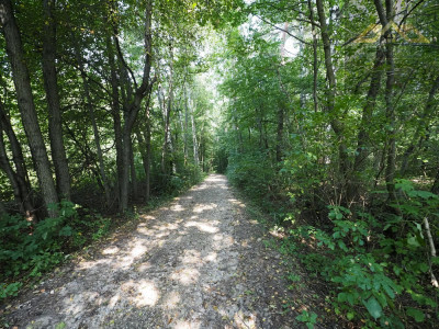 Działka leśna - Milówka -
małopolskie Zdjęcie nr 3
