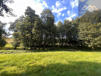 Duża działka - Sufczyn   -
małopolskie Zdjęcie nr 4