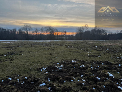 Działka rolna pod KRUS - Perła -
małopolskie Zdjęcie nr 2