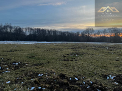 Działka rolna pod KRUS - Perła -
małopolskie Zdjęcie nr 3