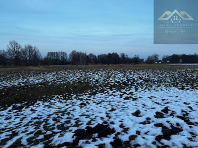 Działka rolna pod KRUS - Perła -
małopolskie Zdjęcie nr 4