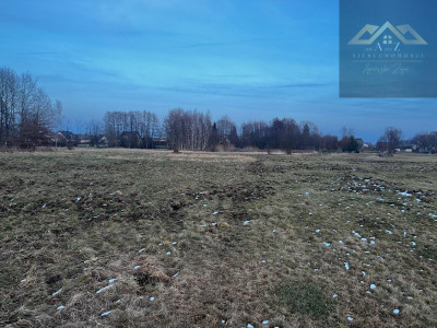 Działka rolna pod KRUS - Perła -
małopolskie Zdjęcie nr 5