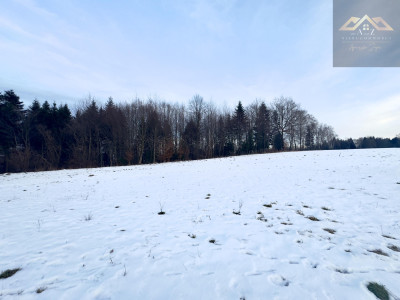 Widokowa działka Lichwin gm Pleśna z widokiem na góry - Lichwin   -
małopolskie Zdjęcie nr 11