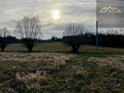 Grunty 3 ha pod agroturystykę stawy stadninę koni zabudowę - Lewniowa   -
małopolskie Zdjęcie nr 11