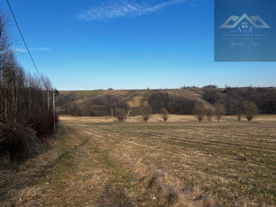 Grunty 3 ha pod agroturystykę stawy stadninę koni zabudowę - Lewniowa   -
małopolskie Zdjęcie nr 4