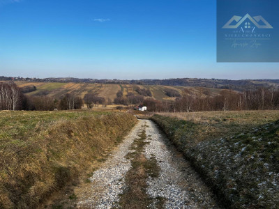 Grunty 3 ha pod agroturystykę stawy stadninę koni zabudowę - Lewniowa   -
małopolskie Zdjęcie nr 5