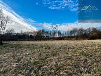Grunty 3 ha pod agroturystykę stawy stadninę koni zabudowę - Lewniowa   -
małopolskie Zdjęcie nr 6