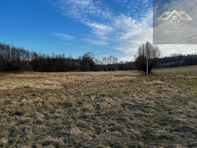 Grunty 3 ha pod agroturystykę stawy stadninę koni zabudowę - Lewniowa   -
małopolskie Zdjęcie nr 7