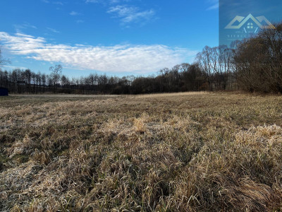 Grunty 3 ha pod agroturystykę stawy stadninę koni zabudowę - Lewniowa   -
małopolskie Zdjęcie nr 8