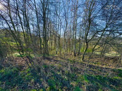 Widokowa działka budowlana z lasem - Łowczów -
małopolskie Zdjęcie nr 11