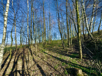 Widokowa działka budowlana z lasem - Łowczów -
małopolskie Zdjęcie nr 9