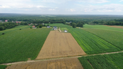 Malownicze działki budowlane Pniewo Łomżyński Park Krajobrazowy - Pniewo  -
podlaskie Zdjęcie nr 6