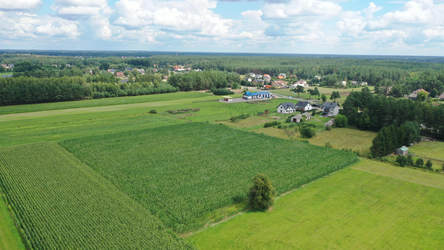 Cudowna działka na peryferiach Kadzidła - Kadzidło  -
mazowieckie Zdjęcie nr 1