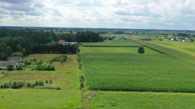 Cudowna działka na peryferiach Kadzidła - Kadzidło  -
mazowieckie Zdjęcie nr 10
