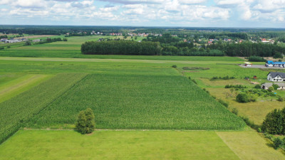Cudowna działka na peryferiach Kadzidła - Kadzidło  -
mazowieckie Zdjęcie nr 2