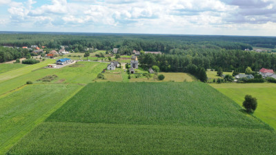 Cudowna działka na peryferiach Kadzidła - Kadzidło  -
mazowieckie Zdjęcie nr 4