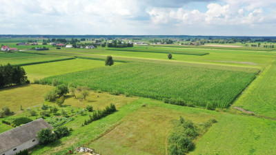 Cudowna działka na peryferiach Kadzidła - Kadzidło  -
mazowieckie Zdjęcie nr 7