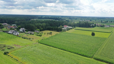 Cudowna działka na peryferiach Kadzidła - Kadzidło  -
mazowieckie Zdjęcie nr 9
