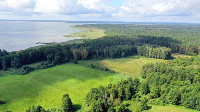 Działka rolna 154 ha Dziubiele gm Orzysz - Dziubiele  -
warmińsko-mazurskie Zdjęcie nr 2