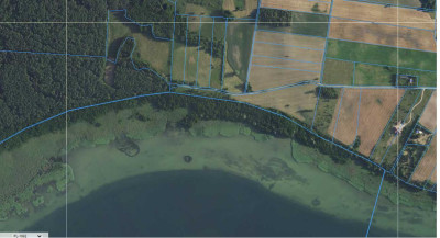 Działka rolna 154 ha Dziubiele gm Orzysz - Dziubiele  -
warmińsko-mazurskie Zdjęcie nr 9