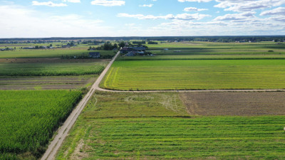 Działka z możliwością zabudowy - Czerwone  -
podlaskie Zdjęcie nr 2