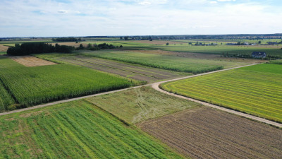 Działka z możliwością zabudowy - Czerwone  -
podlaskie Zdjęcie nr 5