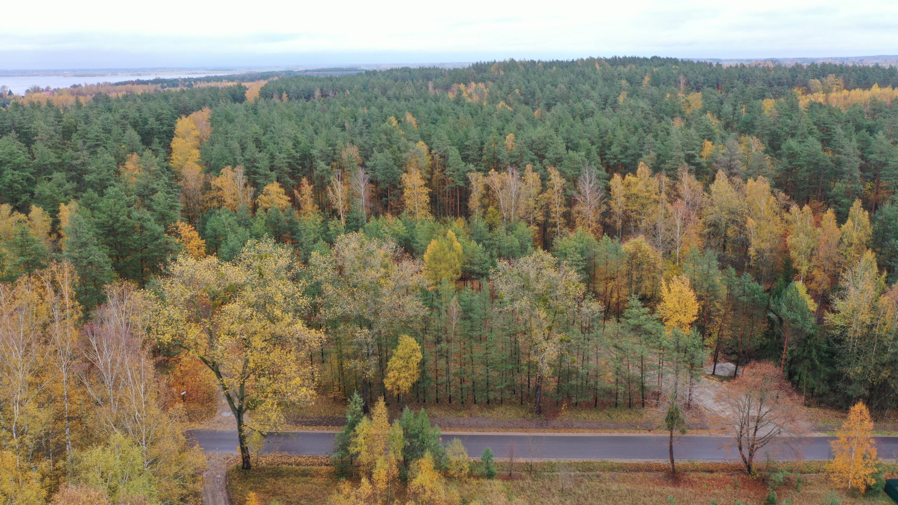 Na sprzedaż kompleks od 6 do 12 działek budowlanych  Rydzewo ul Mazurska 111 - Rydzewo  -
warmińsko-mazurskie Zdjęcie nr 1