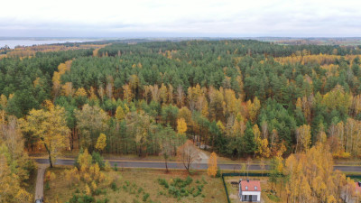 Na sprzedaż kompleks od 6 do 12 działek budowlanych  Rydzewo ul Mazurska 111 - Rydzewo  -
warmińsko-mazurskie Zdjęcie nr 2