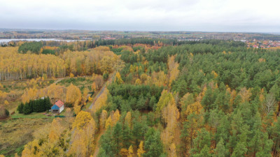 Na sprzedaż kompleks od 6 do 12 działek budowlanych  Rydzewo ul Mazurska 111 - Rydzewo  -
warmińsko-mazurskie Zdjęcie nr 6