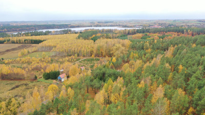 Na sprzedaż kompleks od 6 do 12 działek budowlanych  Rydzewo ul Mazurska 111 - Rydzewo  -
warmińsko-mazurskie Zdjęcie nr 7