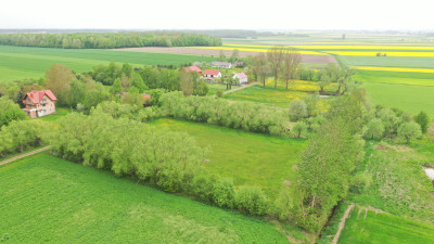 A może działka w malowniczej okolicy - Helenowo   -
mazowieckie