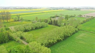 A może działka w malowniczej okolicy - Helenowo   -
mazowieckie Zdjęcie nr 3