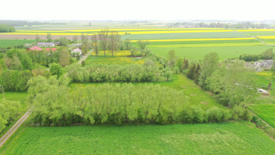 A może działka w malowniczej okolicy - Helenowo   -
mazowieckie Zdjęcie nr 4