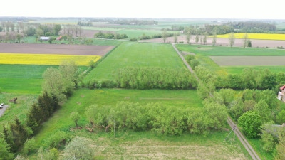 A może działka w malowniczej okolicy - Helenowo   -
mazowieckie Zdjęcie nr 6