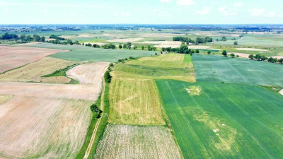Działki rolne Górkło gm Mikołajki - Górkło   -
warmińsko-mazurskie Zdjęcie nr 10