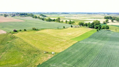 Działki rolne Górkło gm Mikołajki - Górkło   -
warmińsko-mazurskie Zdjęcie nr 12